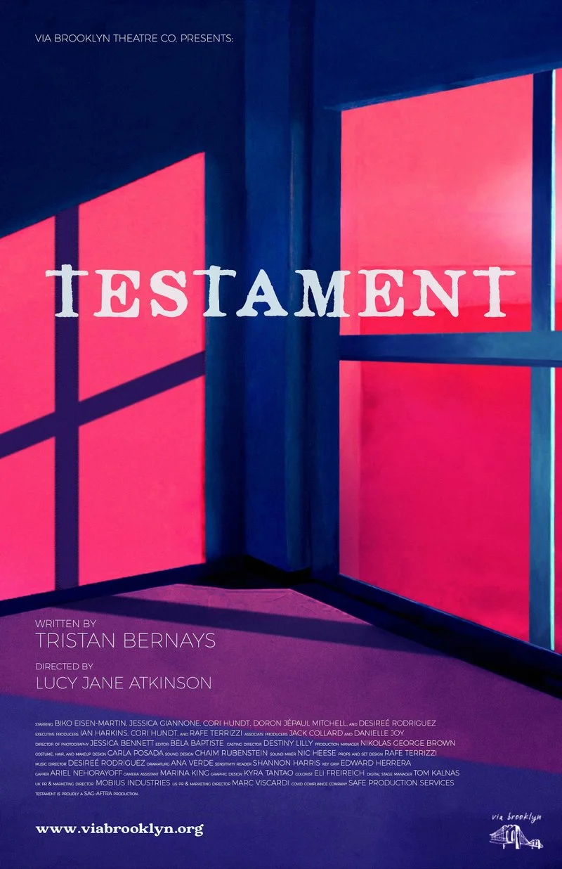 Poster van Testament
