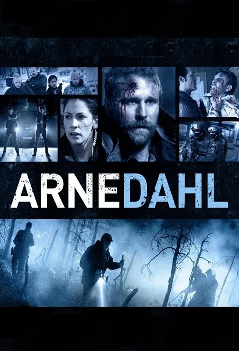 Affiche de Arne Dahl