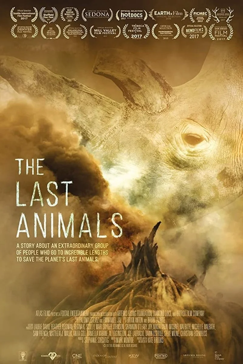 Poster van The Last Animals