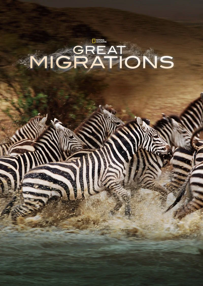 Poster van Great Migrations: Original Edition