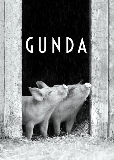 Poster [object Object]