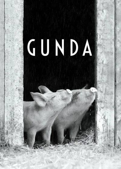 Poster Gunda