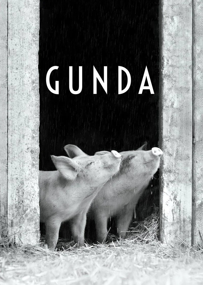 Poster van Gunda