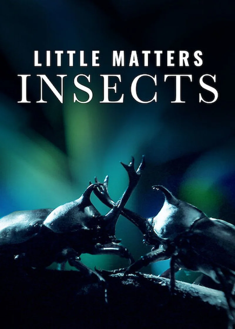 Poster van Little Matters: Insects
