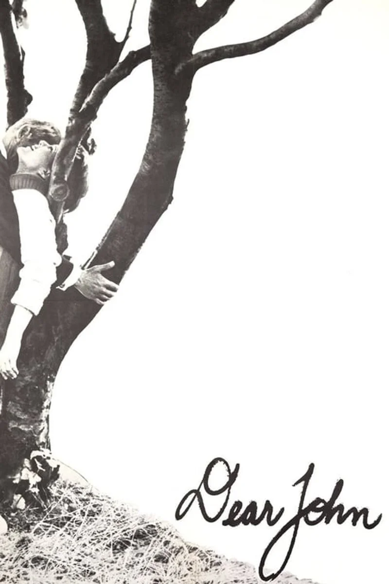 Affiche de Dear John