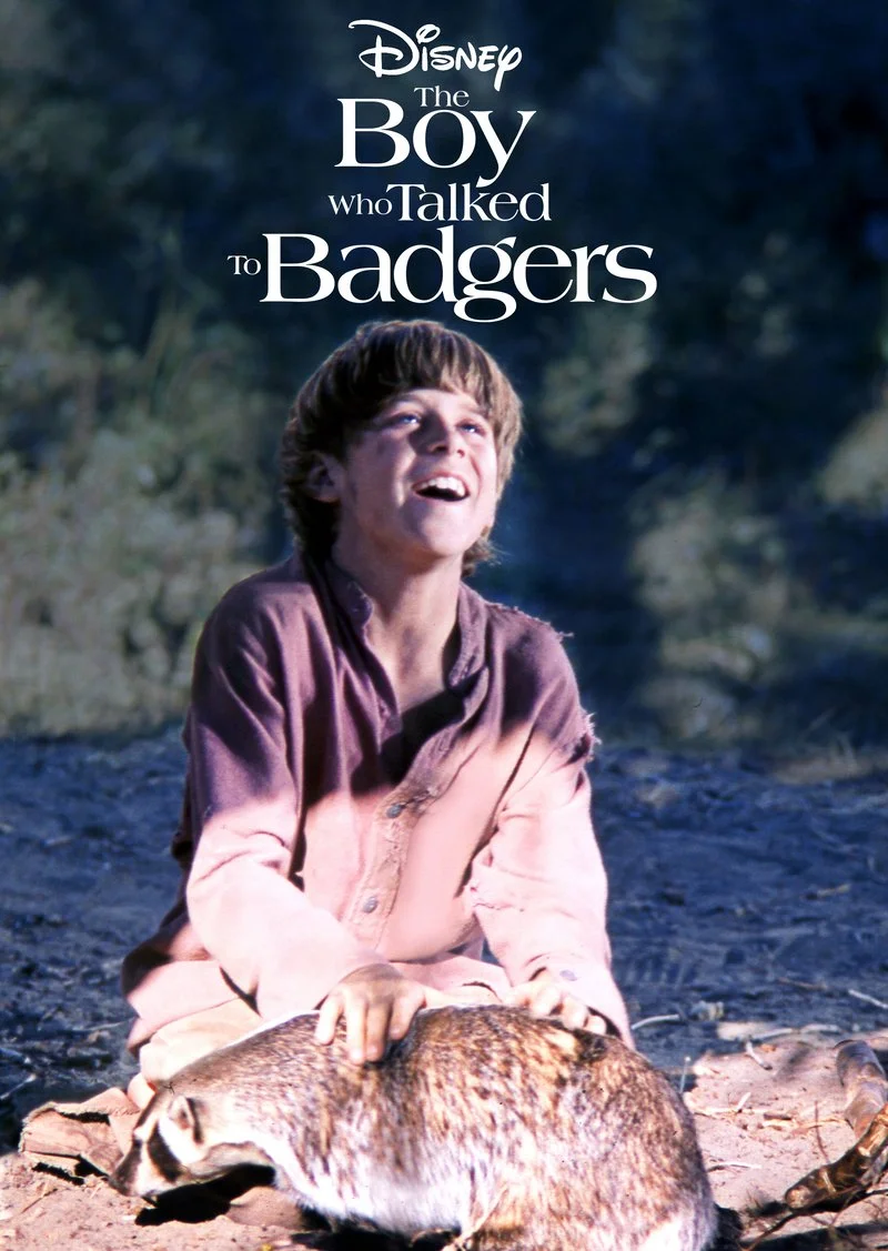 Affiche de The Boy Who Talked to Badgers