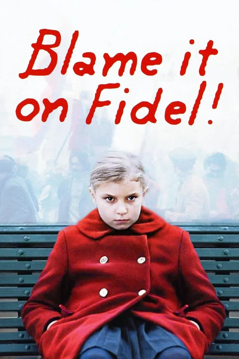 Affiche de La faute à Fidel