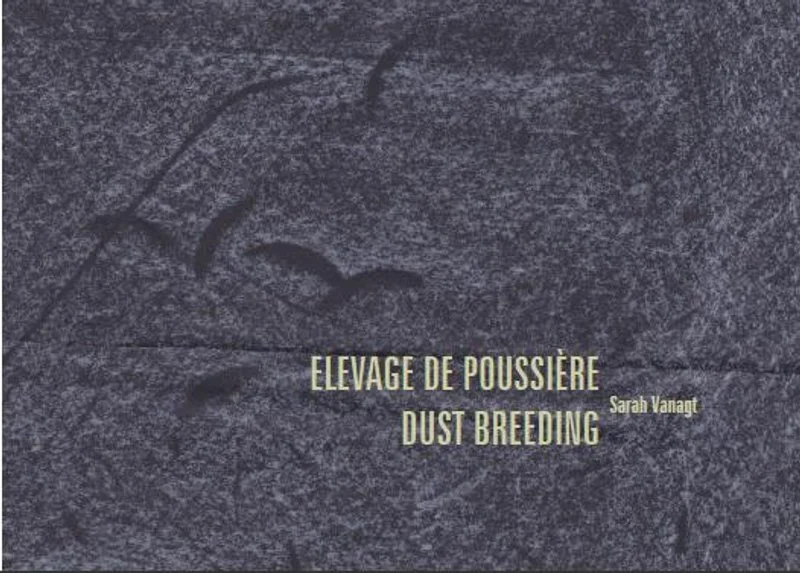 Affiche de Élevage de poussière