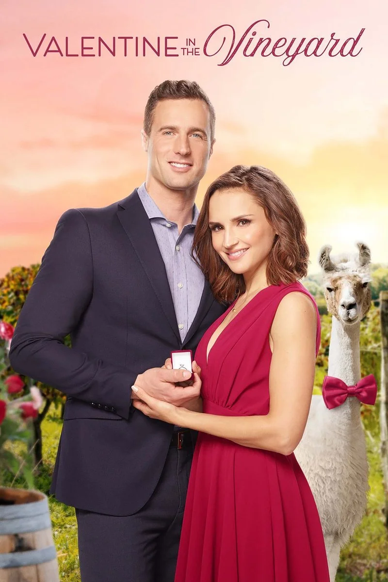 Affiche de Une idylle de Saint-Valentin