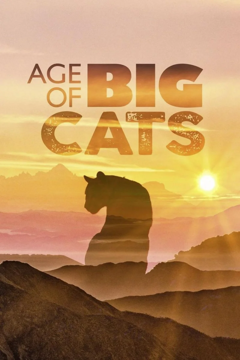 Poster van Age Of Big Cats