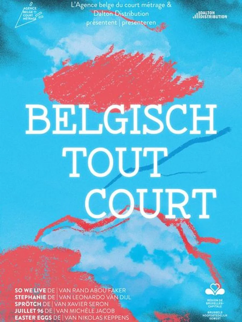 Poster van Belgisch tout court