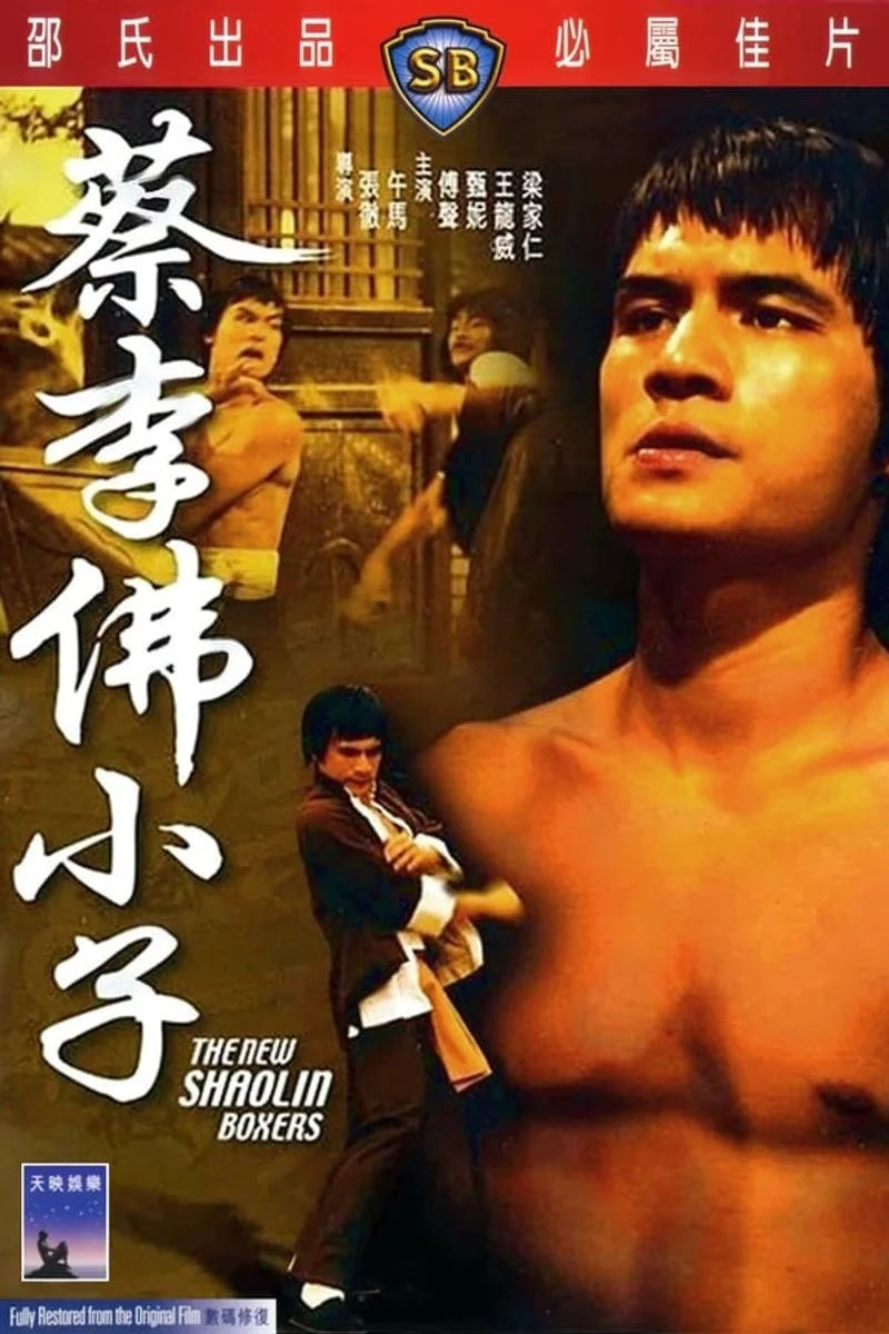 Poster van The New Shaolin Boxers