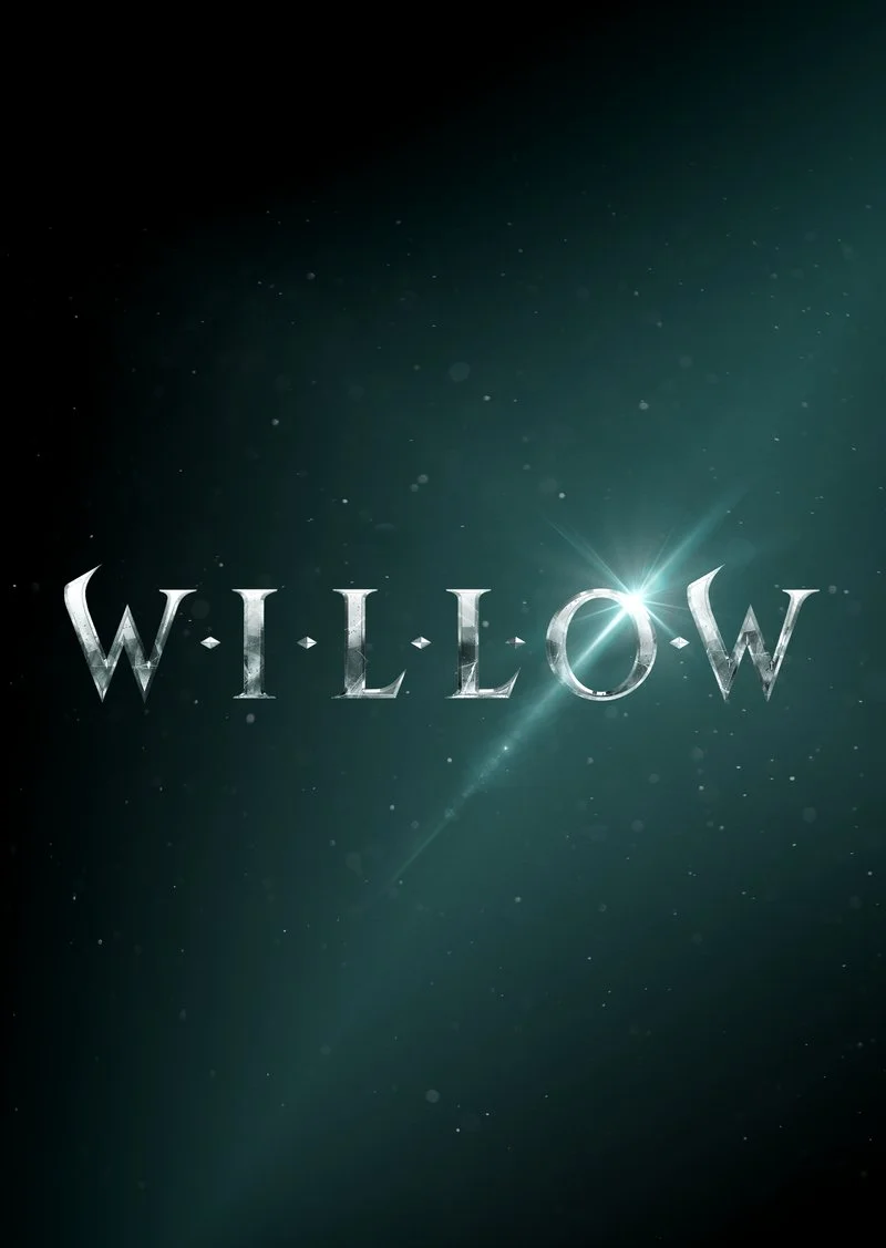 Poster van Willow