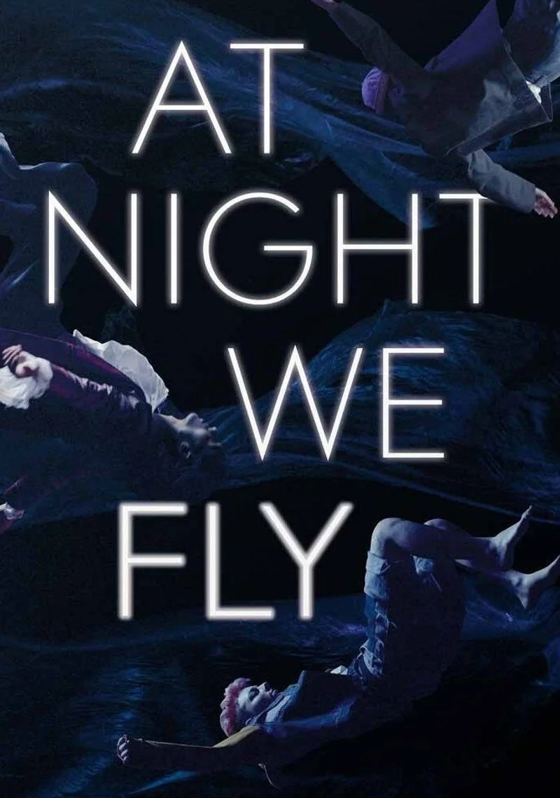Poster van At Night We Fly