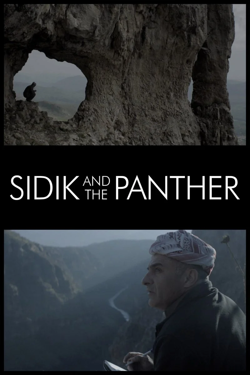 Poster van Sidik and the Panther
