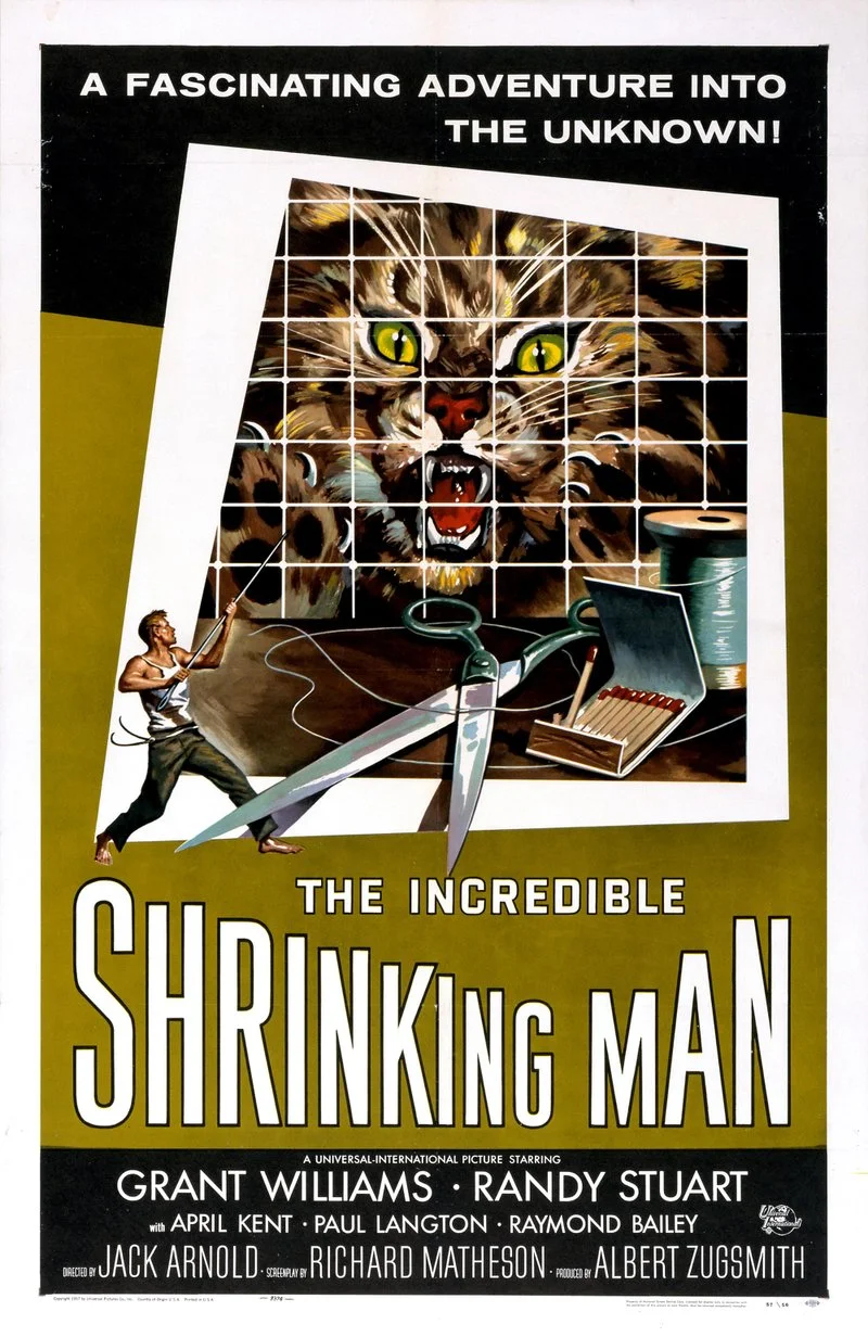 Poster van The Incredible Shrinking Man
