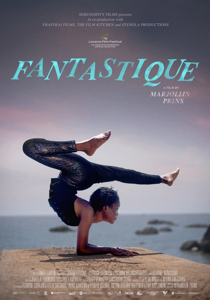 Affiche de Fantastique