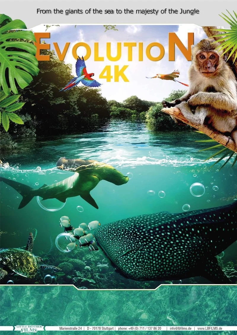 Poster van Evolution