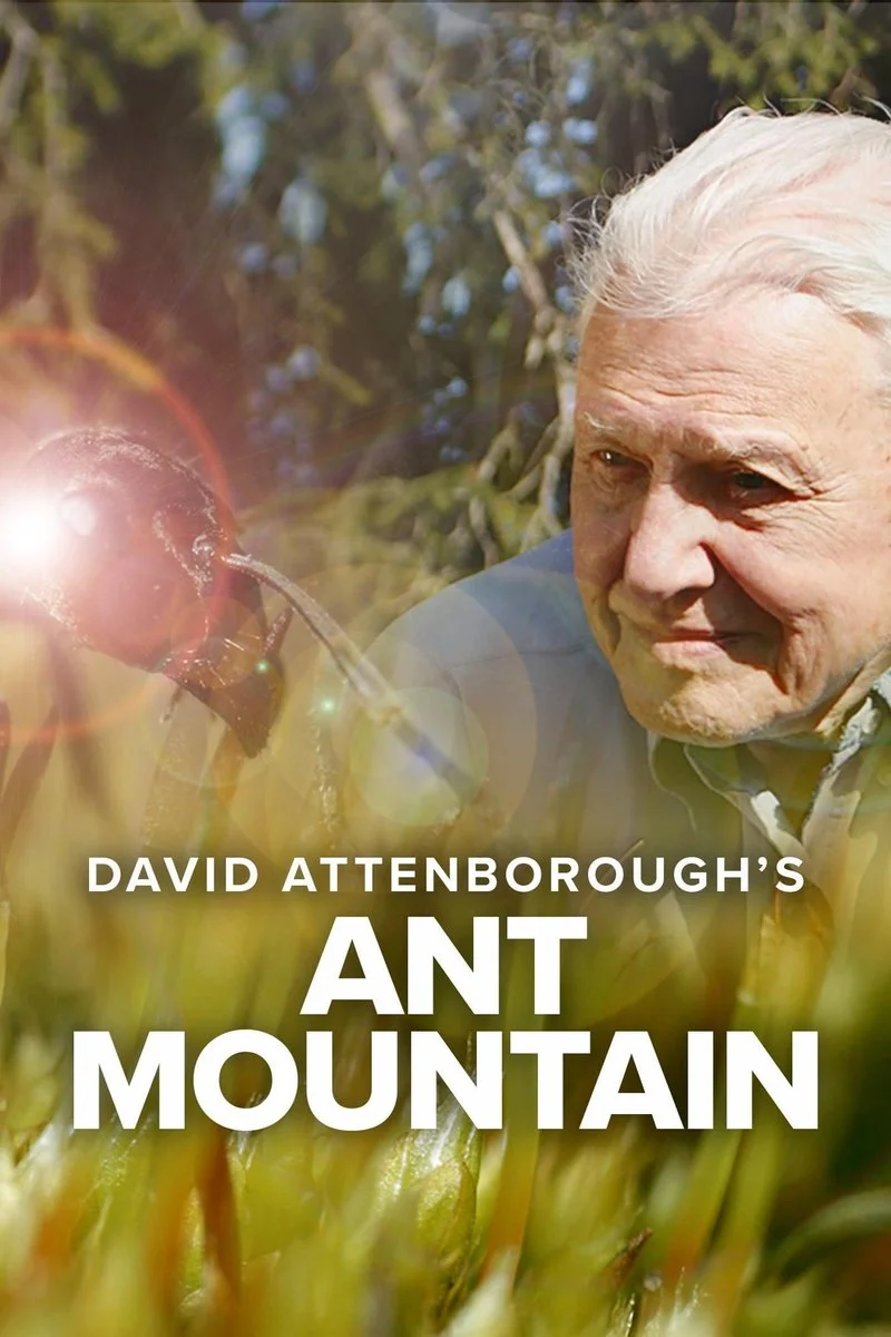 Poster van David Attenborough's Ant Mountain