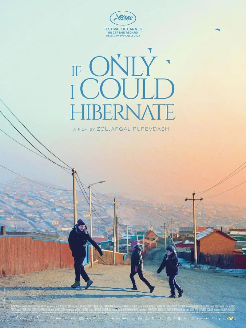 Affiche de IF ONLY I COULD HIBERNATE