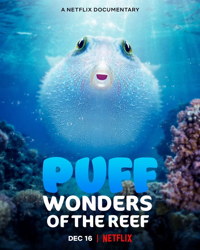 Affiche de Comme un poisson dans son récif