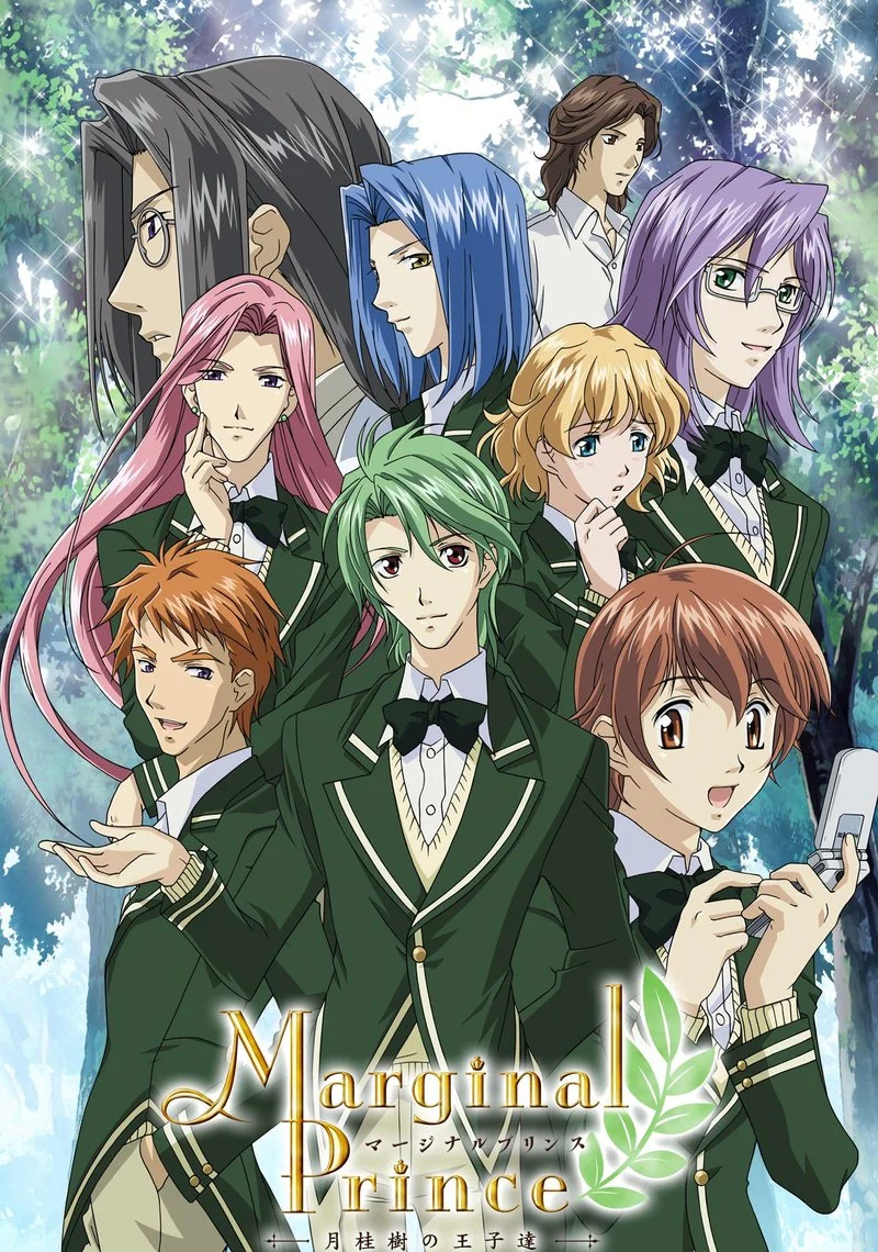 Affiche de Marginal Prince