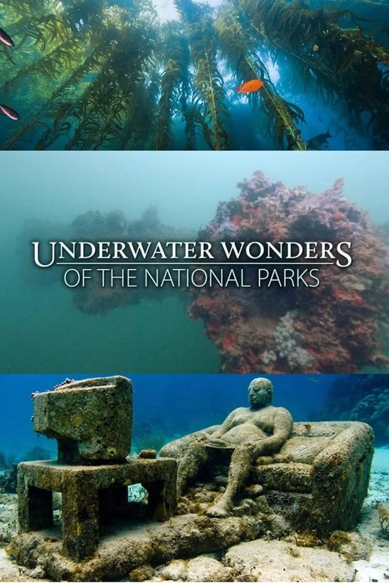 Affiche de Underwater Wonders Of The National Parks