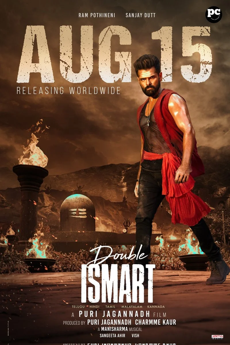 Affiche de Double Ismart