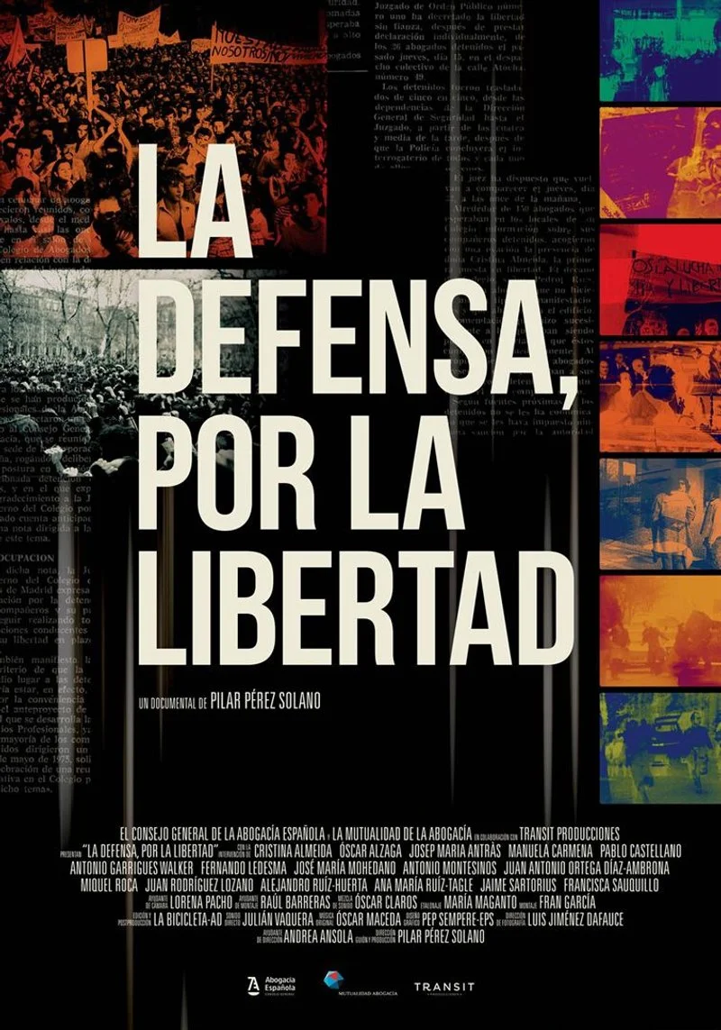 Poster van Defending Freedom