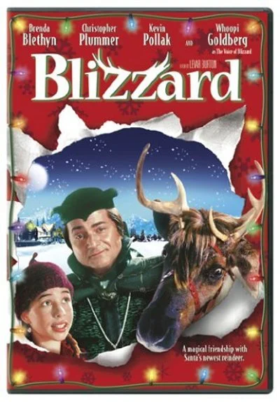 Poster Blizzard