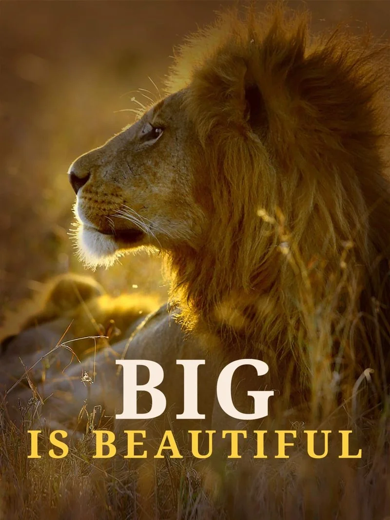 Poster van Big is Beautiful