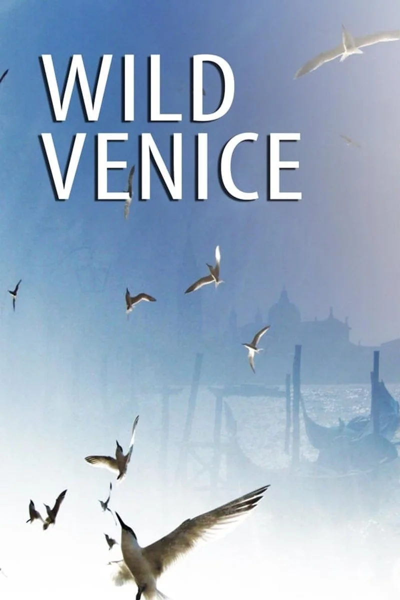 Affiche de Wild Venice