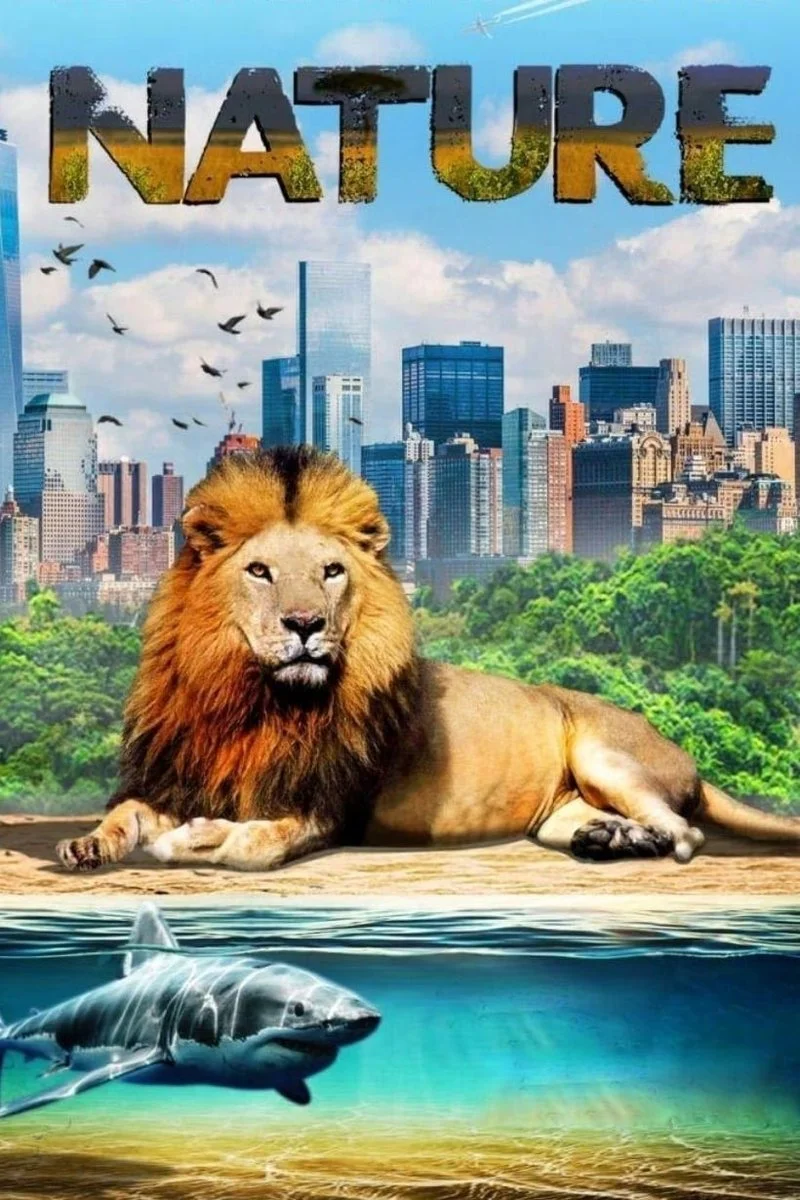 Poster van Our Nature