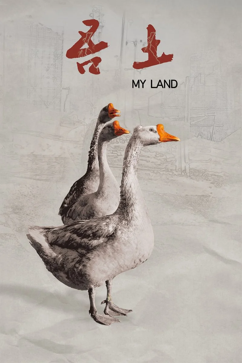 Affiche de My Land