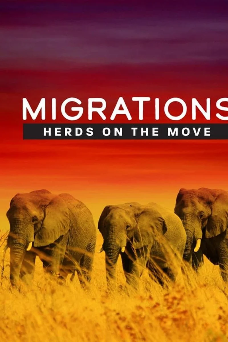 Poster van Migrations: Herds on the Move