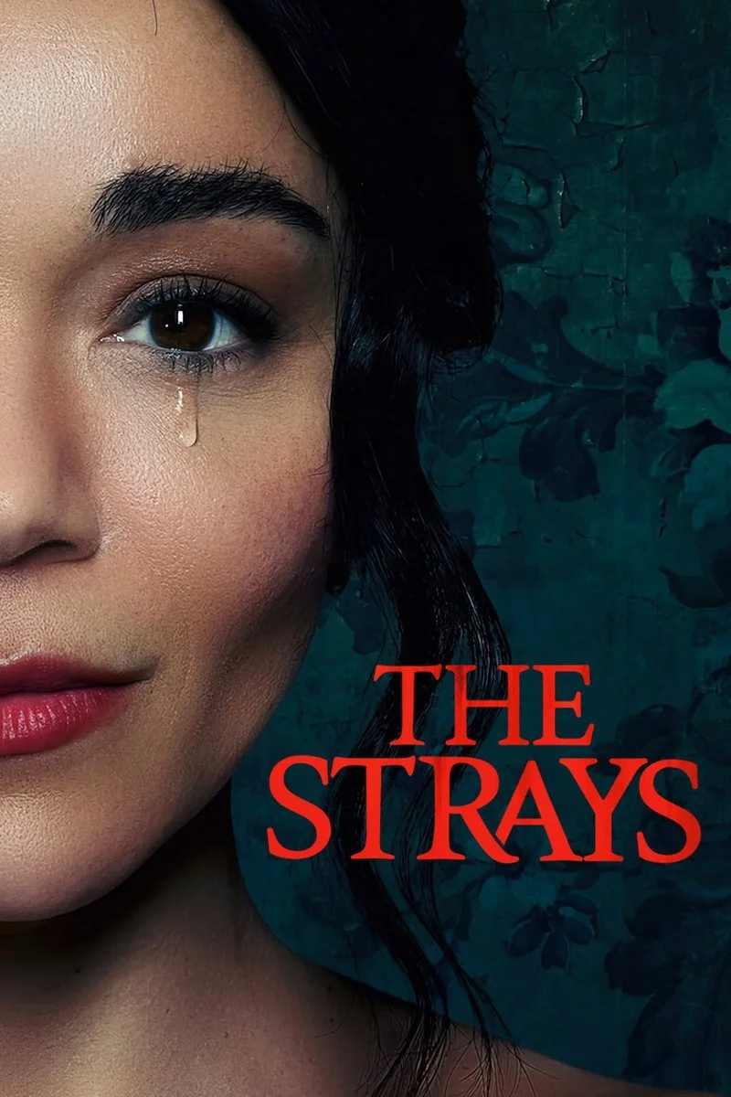 Affiche de The Strays