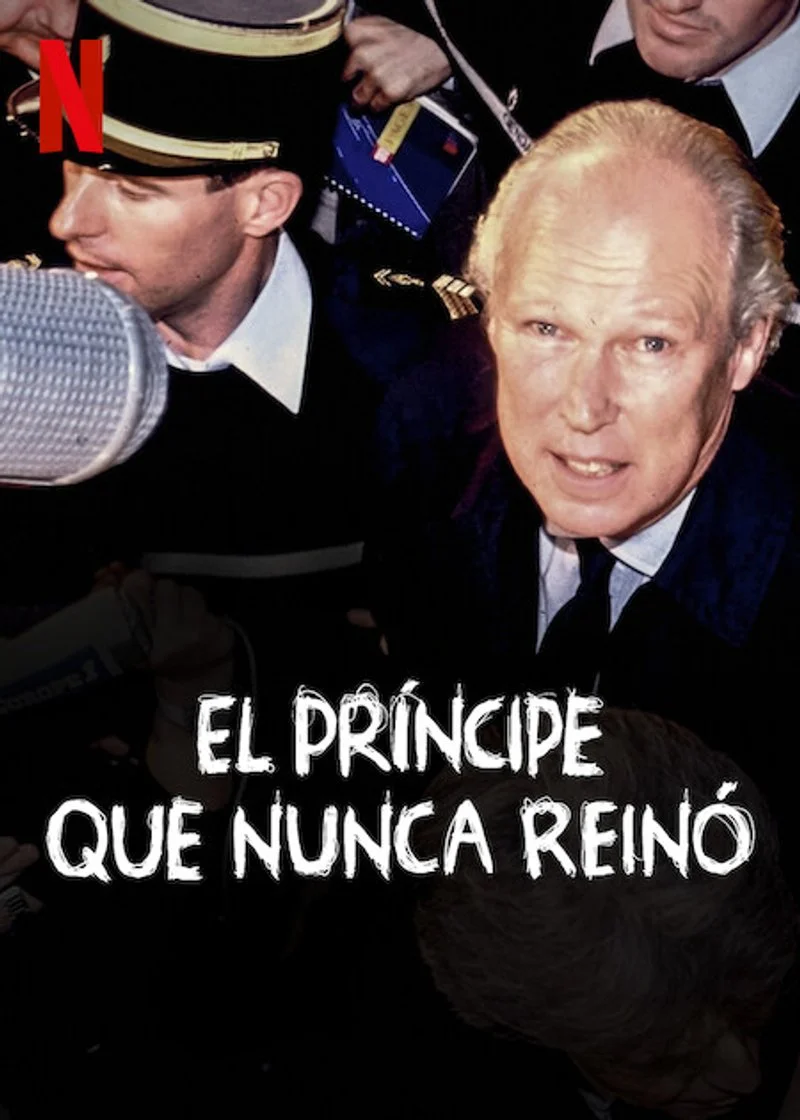 Affiche de Il principe