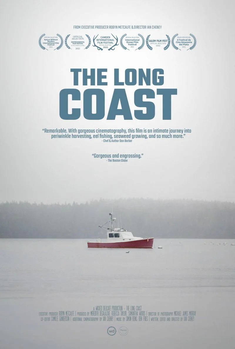 Affiche de The Long Coast