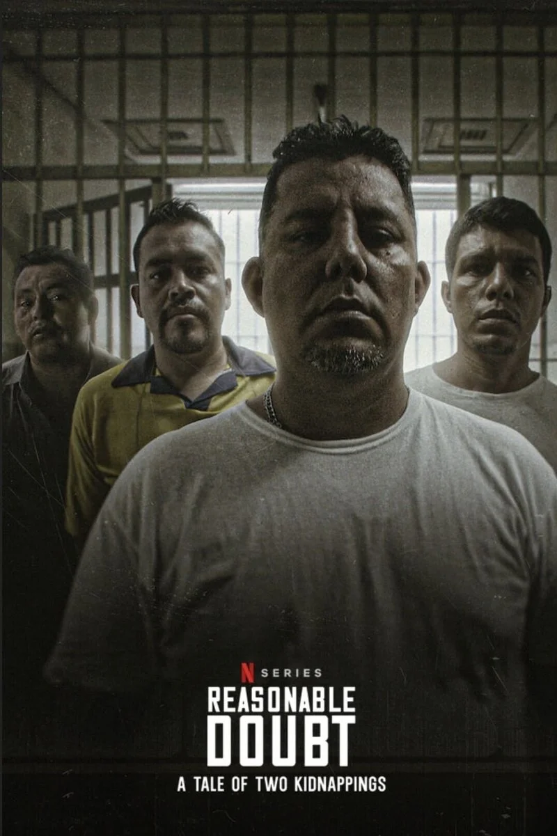 Affiche de L'Ombre du doute : Histoire de deux enlèvements