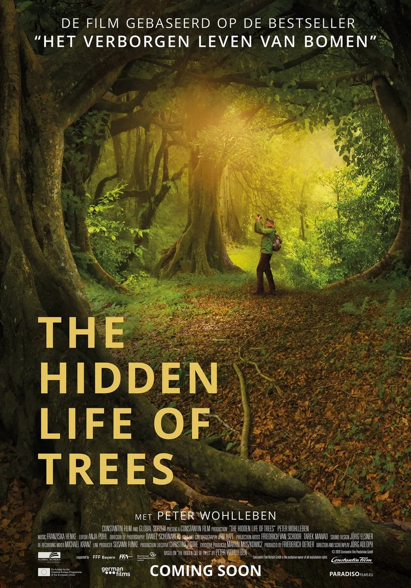 Affiche de The Hidden Life of Trees