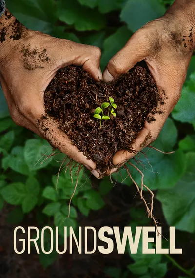 Affiche Groundswell
