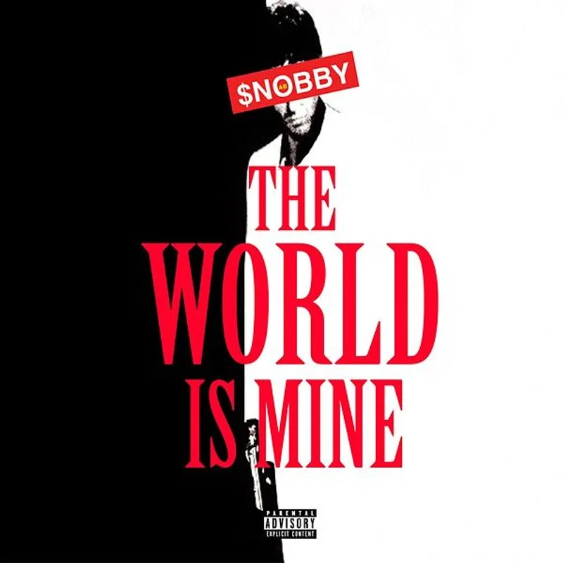 Poster van The World Is Mine