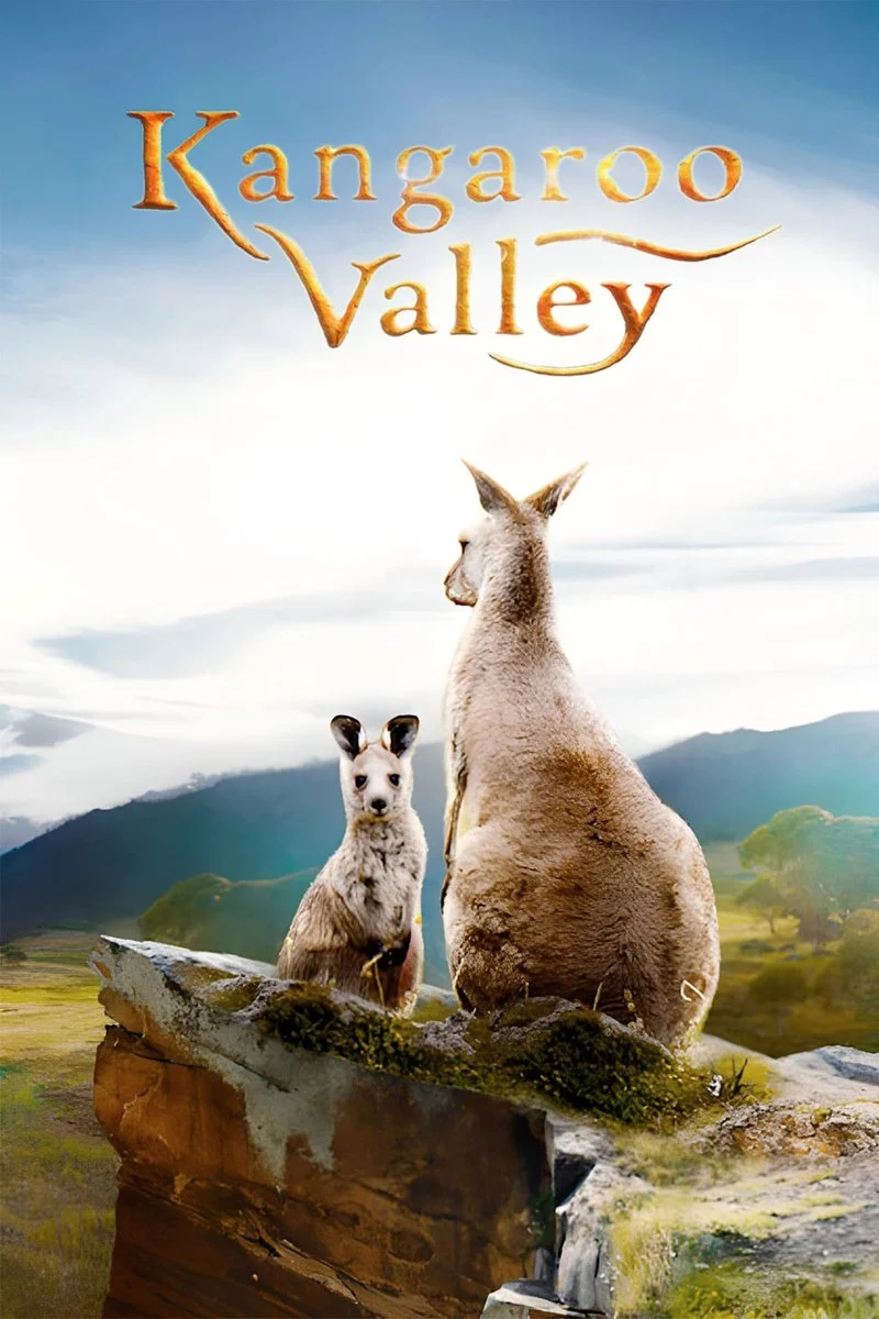 Affiche de La Vallée des kangourous