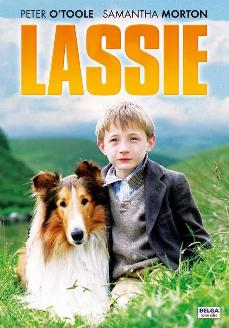 Affiche de Lassie