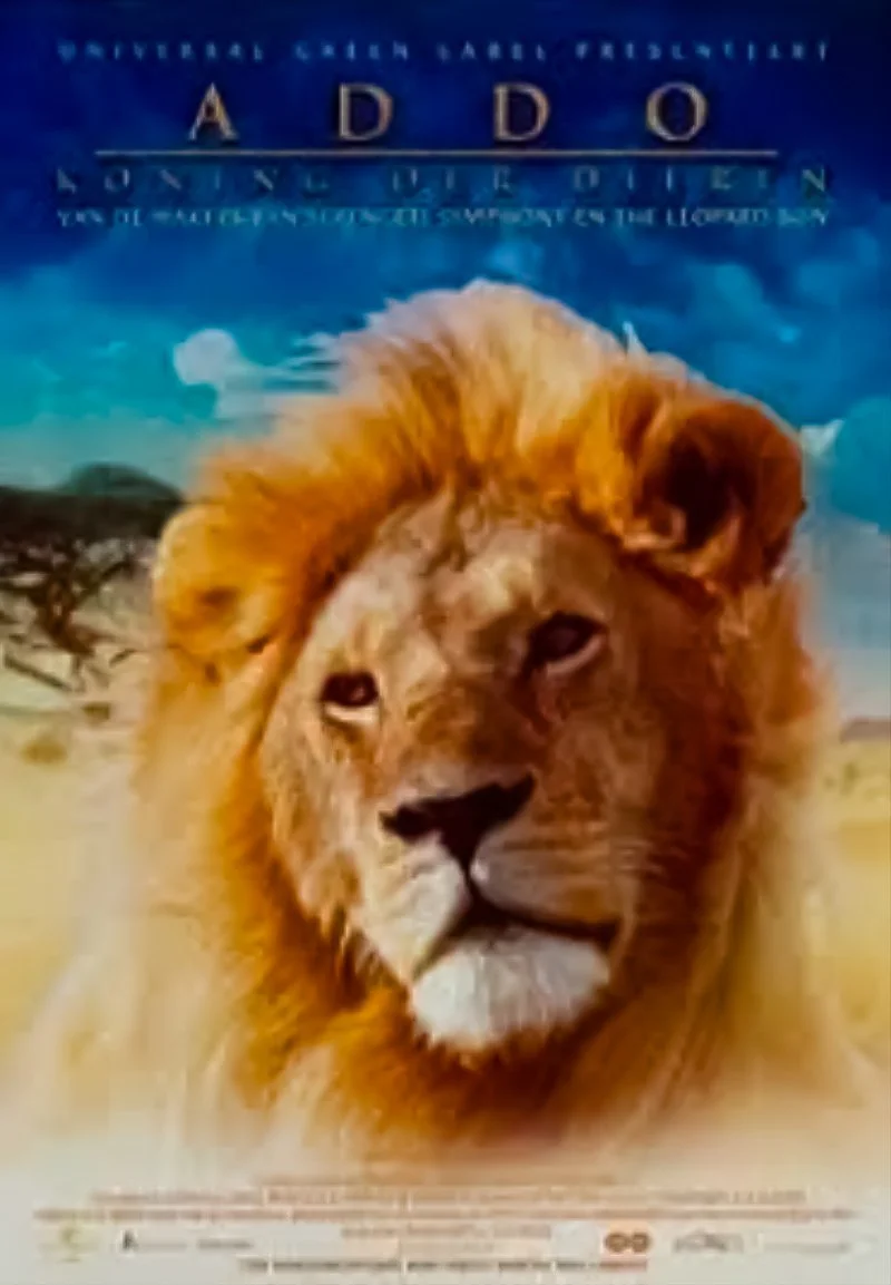 Poster van Addo, Koning der Dieren