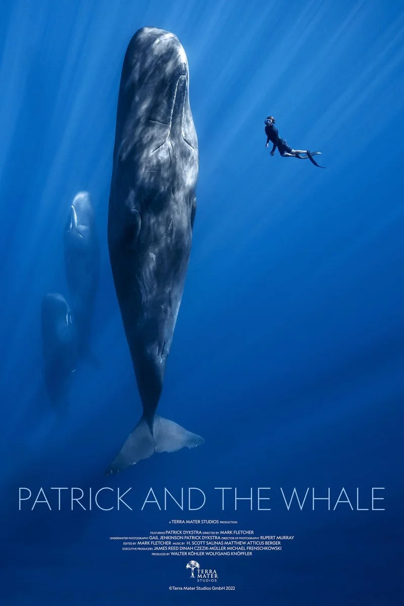 Affiche de Patrick and the Whale
