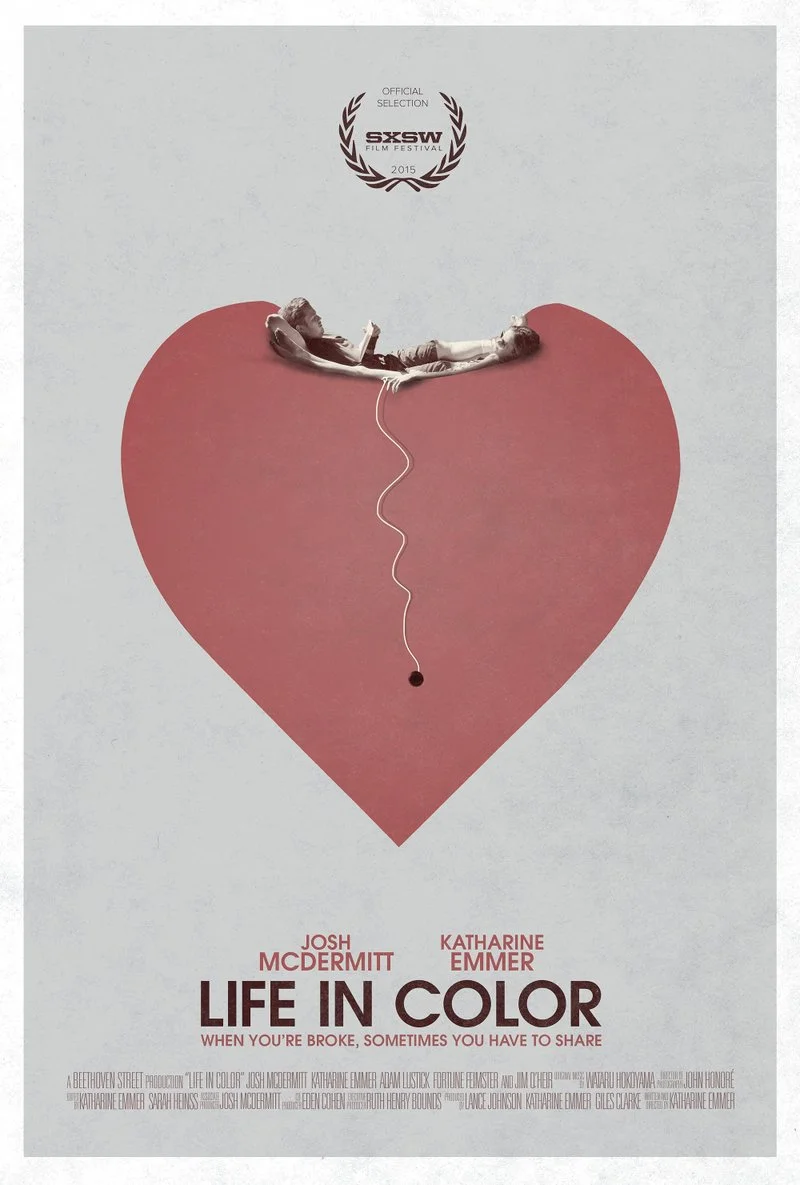 Affiche de La vie en couleur