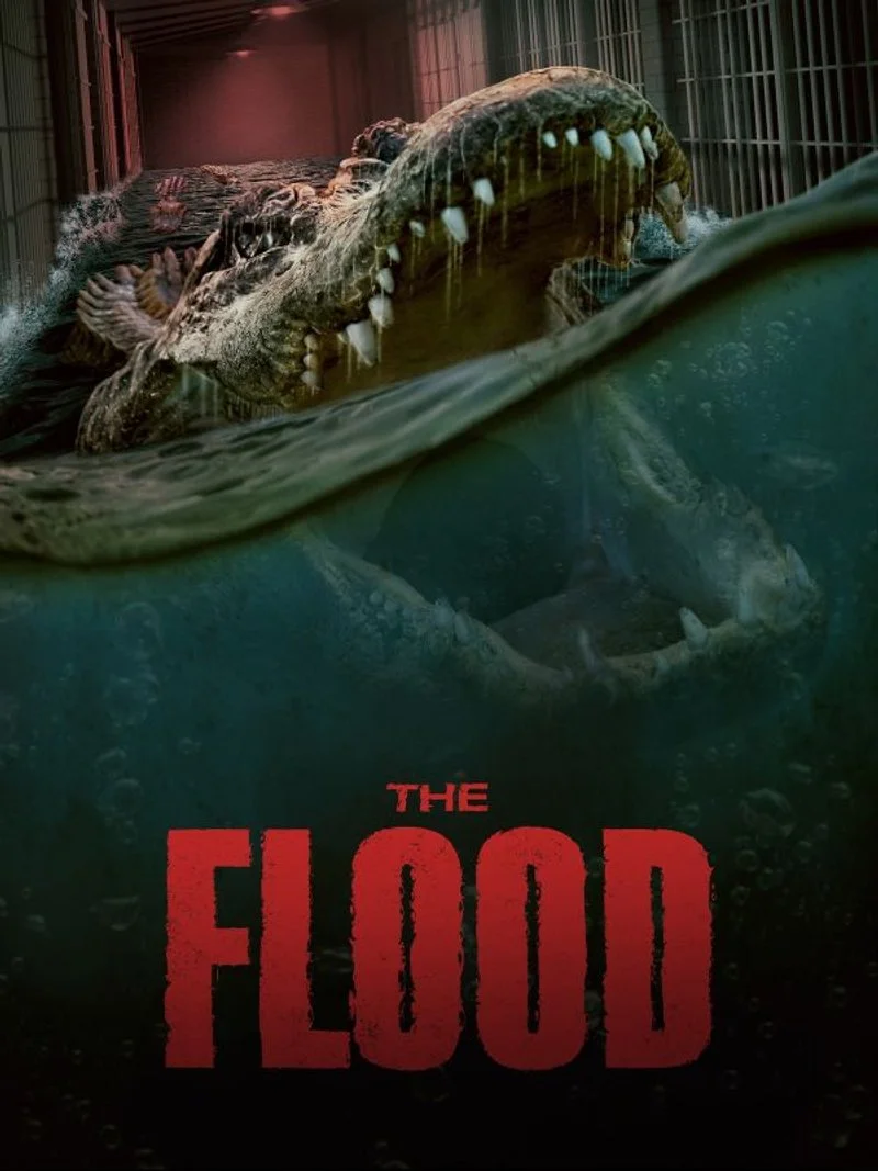 Affiche de The Flood