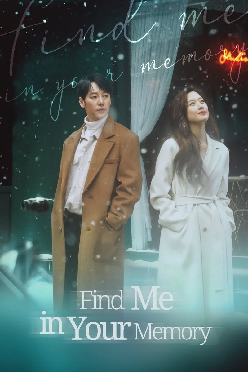 Affiche de Find Me in Your Memory