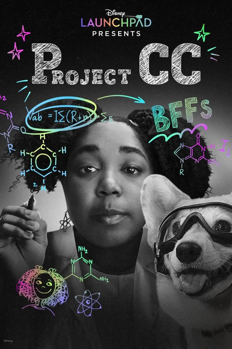 Affiche de Project CC